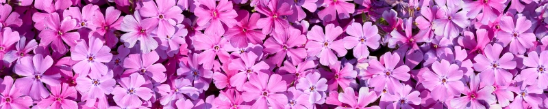 西武秩父駅のバス乗り場の画像